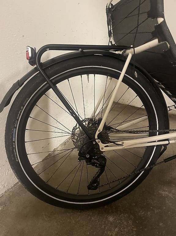 Biciclette: Wolf & Wolf Liegevelo – Usato da Basel venduto da Dshamm 1
