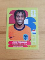 Panini WM 2026 NED 8