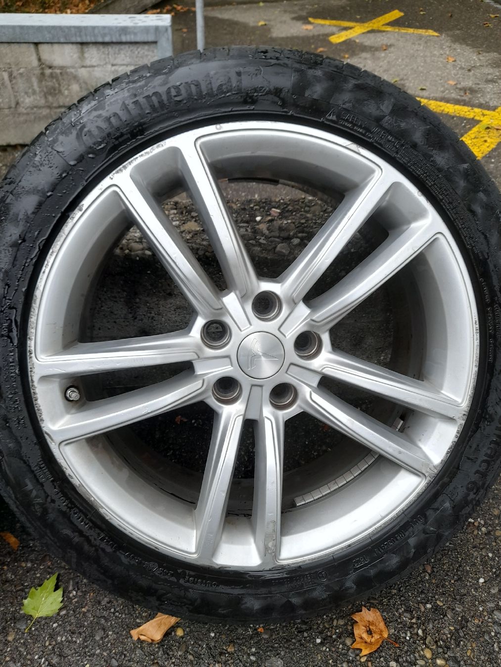 Cerchioni: Felgen Tesla – Usato da Glattbrugg venduto da B_B 4
