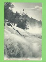 Am Rheinfall
