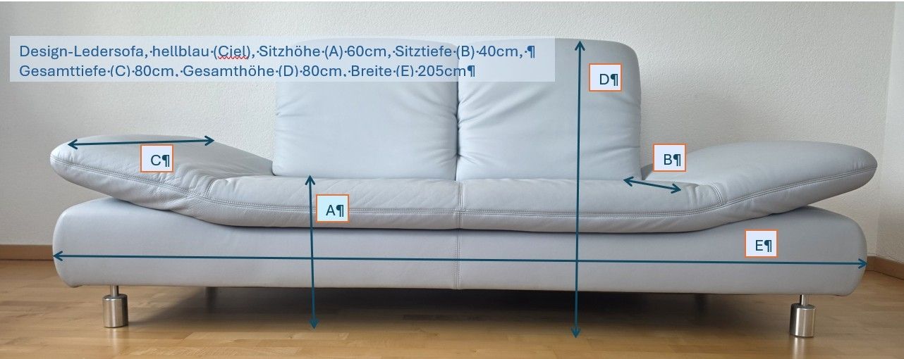 Koinor Divani: Koinor Design-Ledersofa 2-Plätzer – Usato da Tobel venduto da Mama_Palue 5