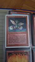 Magic The Gathering Drachenjunges 2/3 guter Zustand