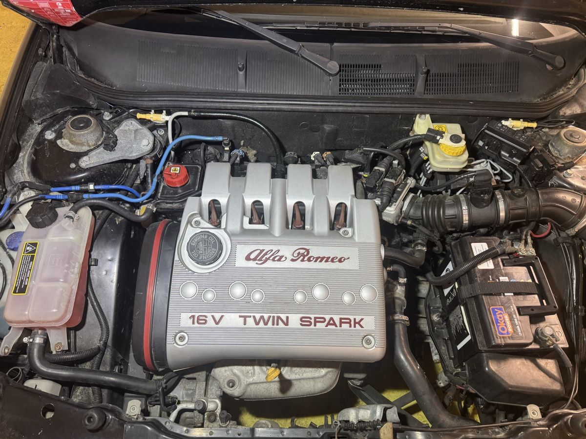 Alfa Romeo Automobili: Alfa romeo 146 2.0 TS 16V – Usato da Ostermundigen venduto da mus_zpk8 7