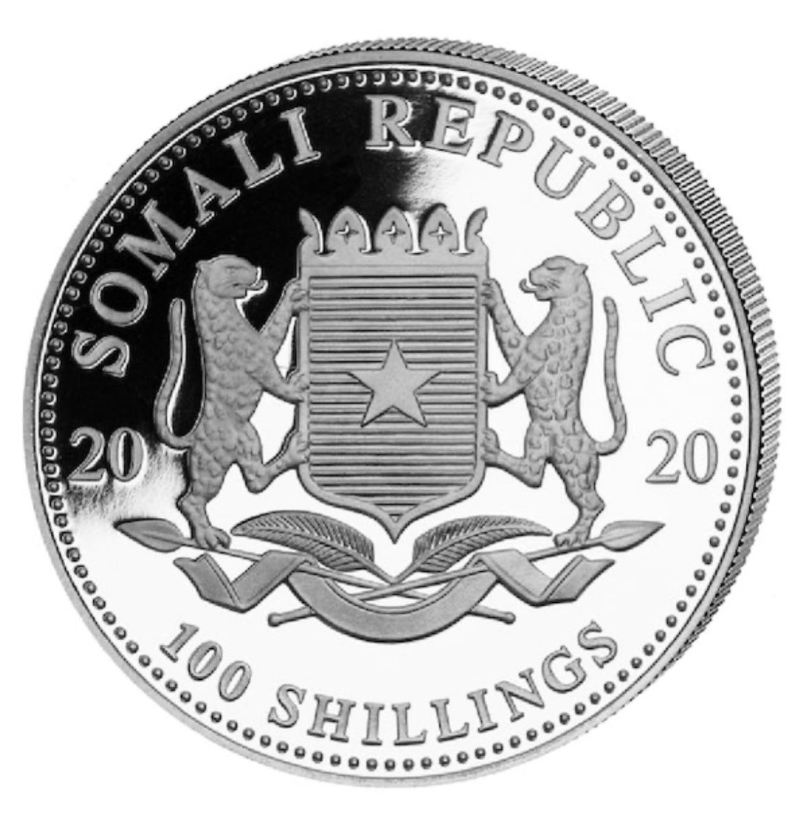 Alle Münzen: Somalia Leopard Silber 2020 – Neu (gemäss Beschreibung) aus Neuendorf von connoisseur 3
