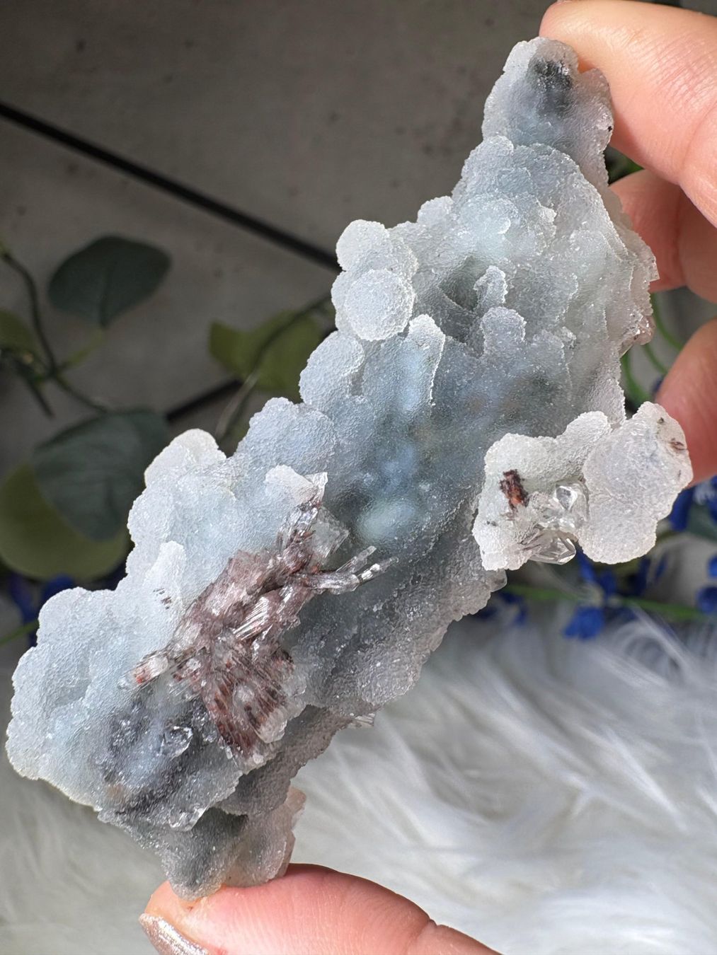 Minerali & Pietre curative: Grüner Chalcedon-Stalaktit mit Apophyllit – Nuovo e nell'imballaggio originale da Neuheim venduto da m.hald 3