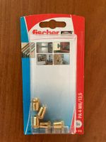fischer SB Messingdübel PA 4 M6  NEU  OVP mit 5 Stück Dübel
