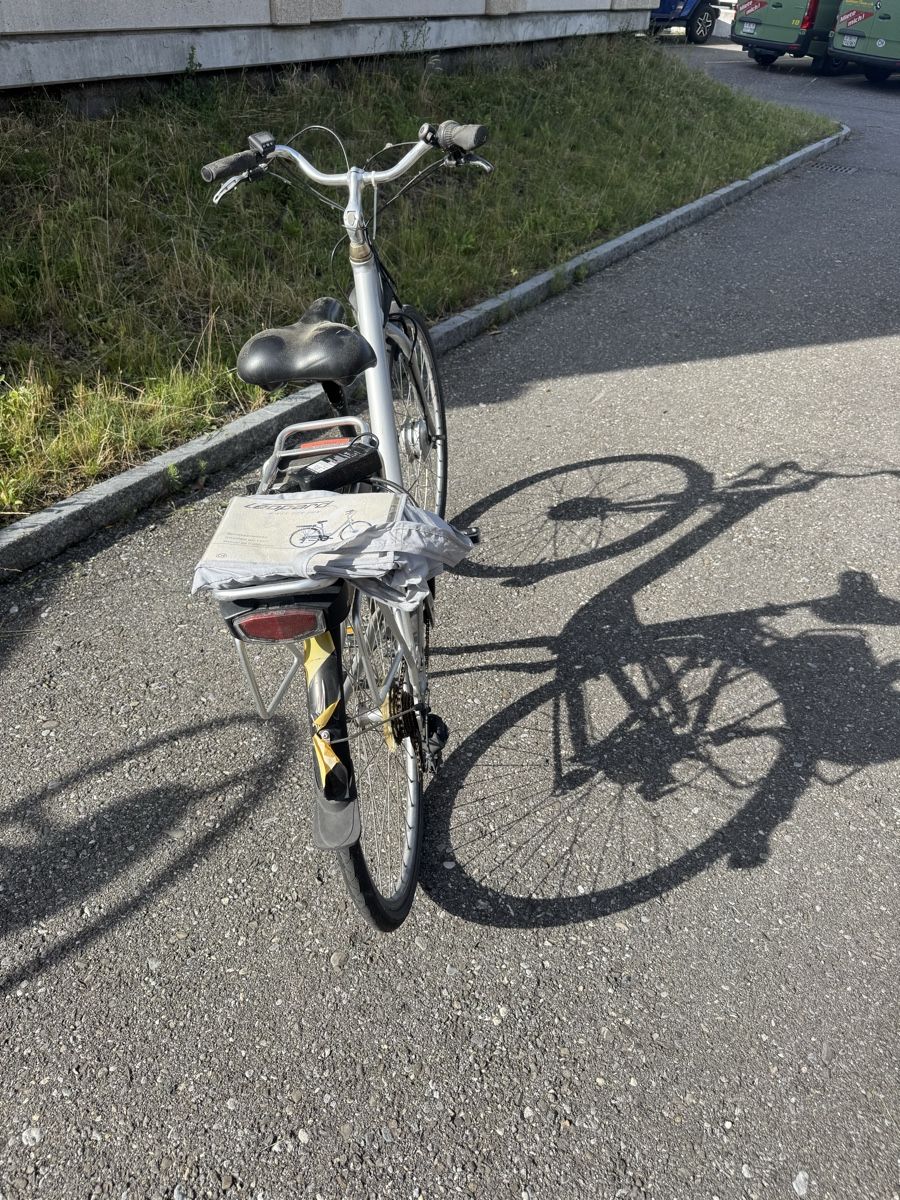 Leopard Biciclette: E-Bike Leopard – Usato da Gwatt (Thun) venduto da louisgafner 2