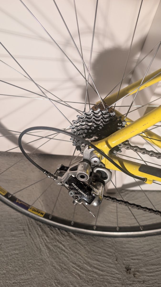 Giant Biciclette: Giant TCR Campagnolo – Usato da Lostorf venduto da Simcom2 4