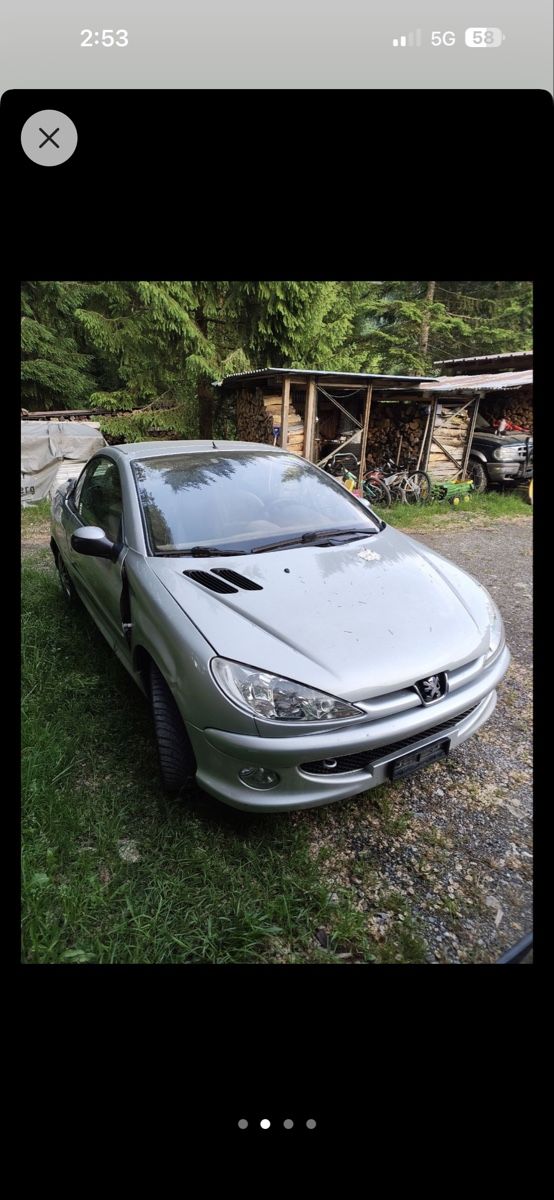 Peugeot Autos: Peugeot 206cc – Défectueux à Richterswil par sel_fm92 2