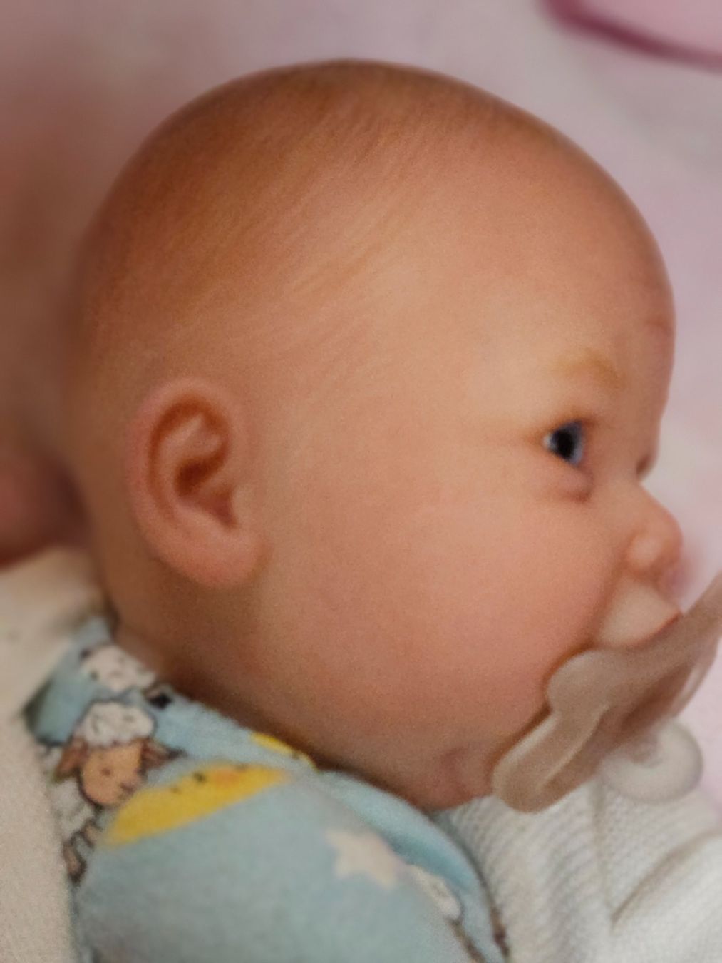 Reborn Puppen: Rebornbaby Colby – Gebraucht aus Beringen von Sternschnappi 3