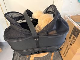Transportkorb für Hunde auf dem Fahrrad