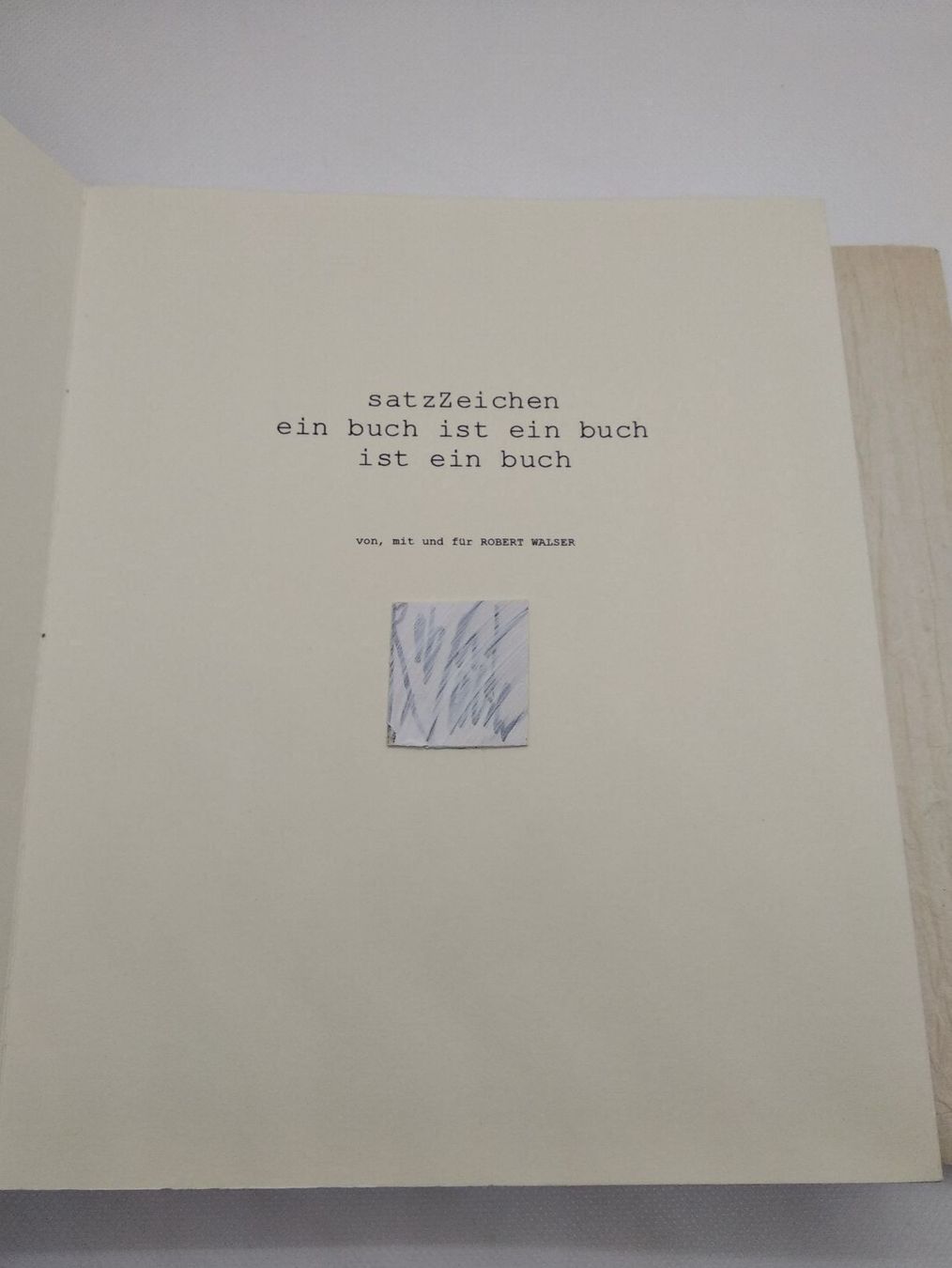 Libri: TYPOGRAPHIE - ROBERT WALSER - TANJA GRIMM-RAABE – Usato da Goldach venduto da Gaip