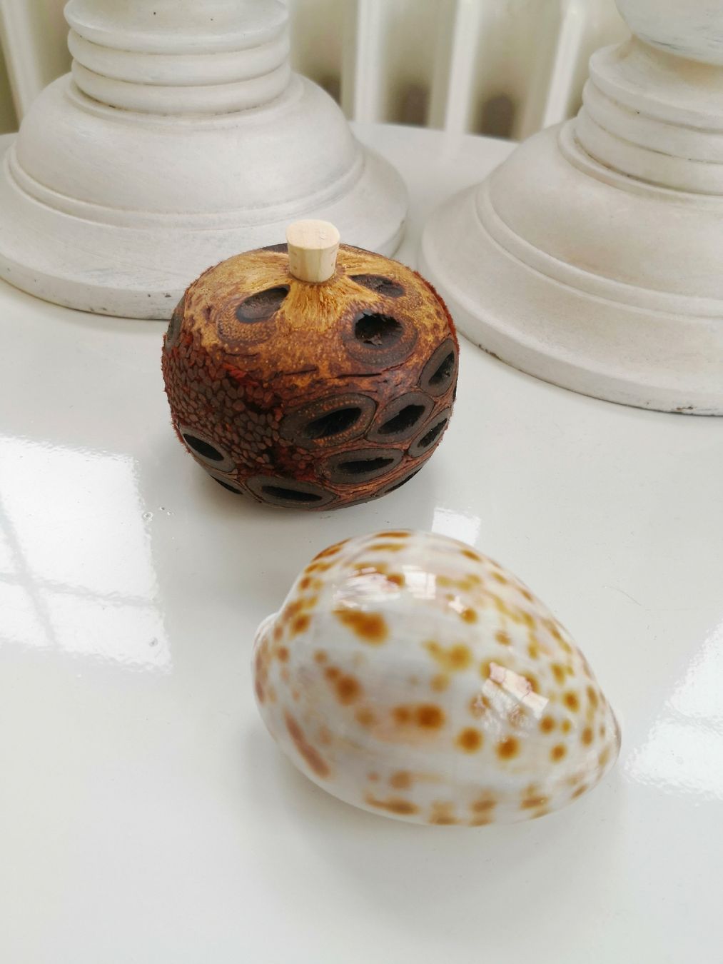 Tutte le decorazioni: 🤩BANKSIA ÄTHERISCHER ÖL DIFFUSER AUS AUSTRALIEN RAR – Nuovo (secondo la descrizione) da Olten venduto da Naja-Twins-Twins 1