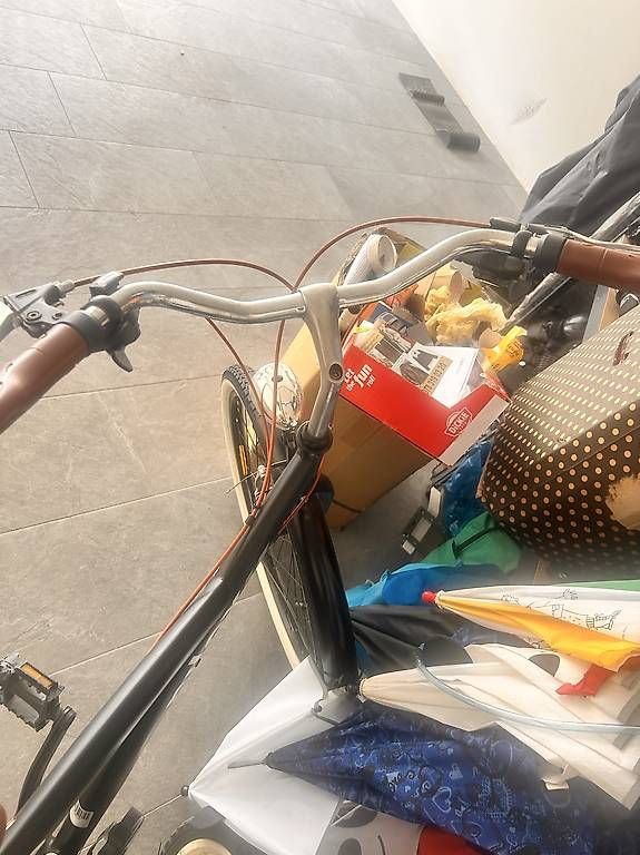 Vélos: Bicicletta donna – D'occasion à Bioggio par vir_5b6b 2