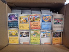 8.5 Kg Pokemonbulk in englisch