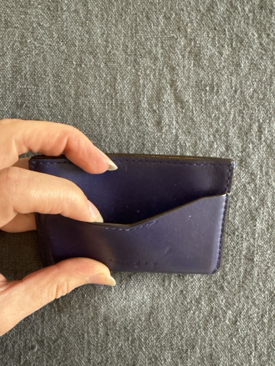 Sandro Portamonete: Porte-cartes SANDRO en cuir – Usato da Genève venduto da cece22 3