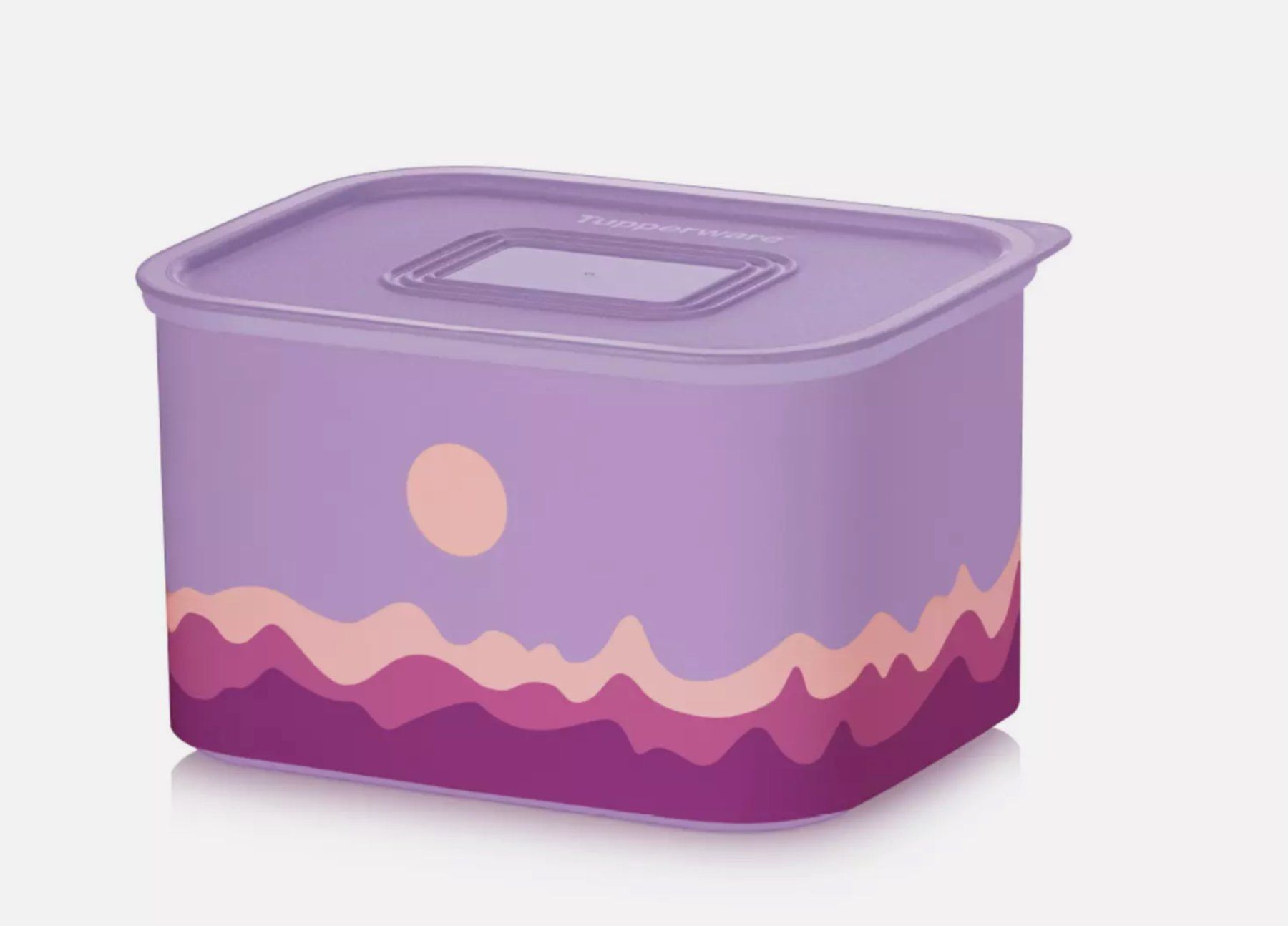 Tupperware Contenitori & Simili: Tupperware - Optimum-Set Sonne – Nuovo (secondo la descrizione) da Kaufdorf venduto da bambulka22 2