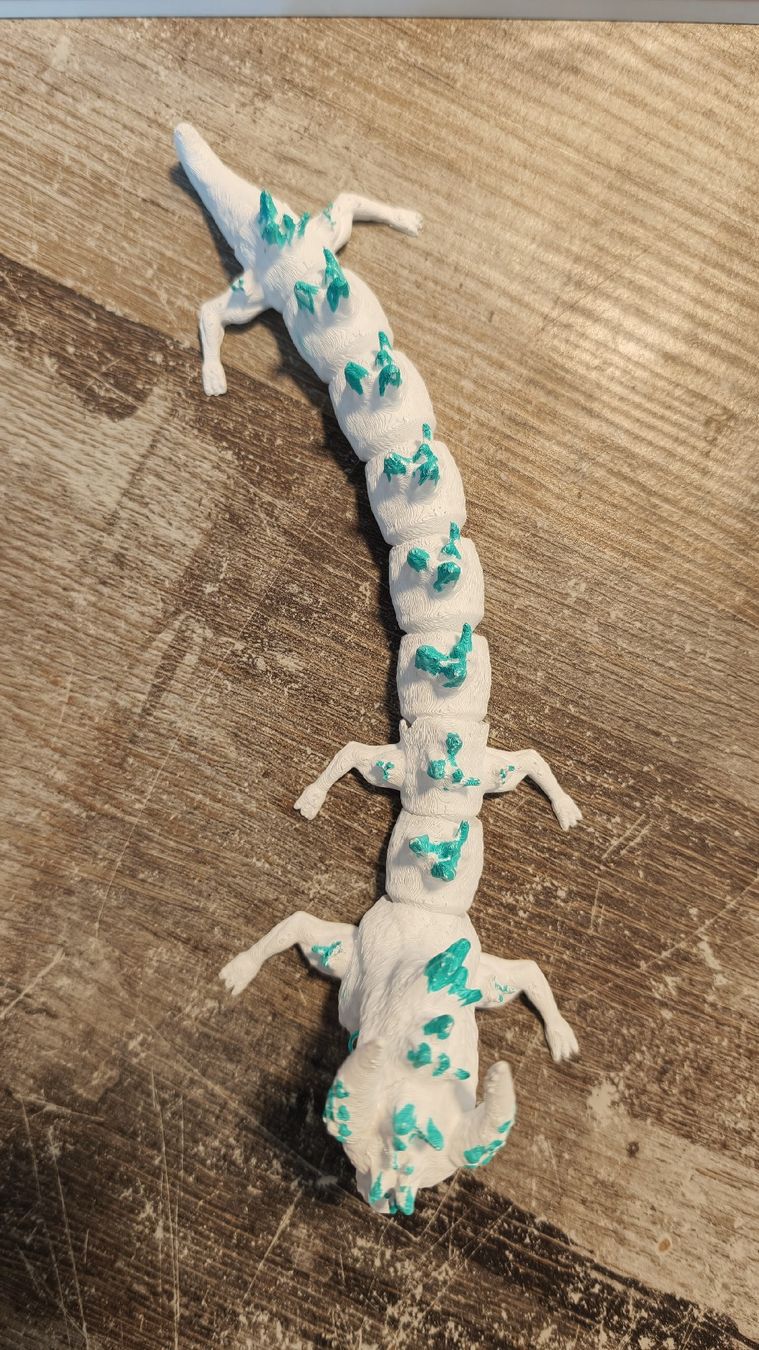 Figuren: Dragon articulé imprimé en 3D – Gebraucht aus Domdidier von Nina_Atelier 3