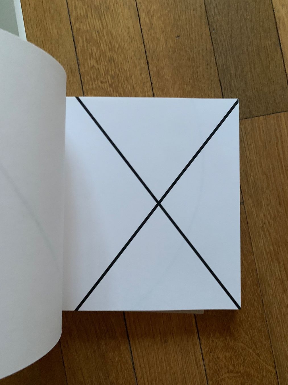 Libri: Ellsworth Kelly Line Form Color – Usato da Obfelden venduto da Zocci 4