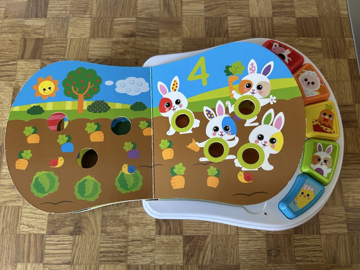 Chicco Giocattoli: Chicco Babybuch – Usato da Lausen venduto da Ella685 3