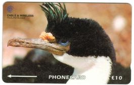 Telefonkarte Falkland Kormoran