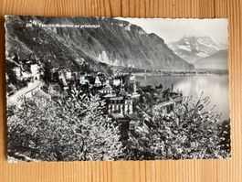 Territet - Montreux au printemps - AK