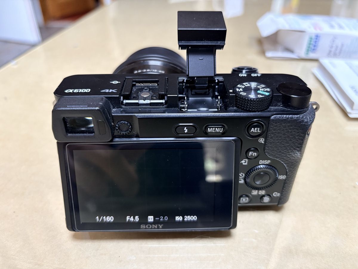 Sony Appareil photo: Sony a6100 – D'occasion à Seigneux par nil_gh5h