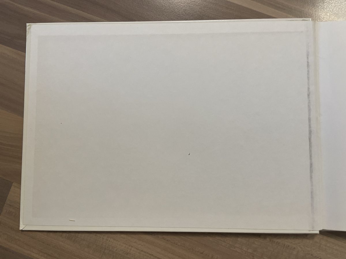 Libri: Die fröhliche Katzenfeizeit – Usato da Elsau venduto da Lusmus13 4