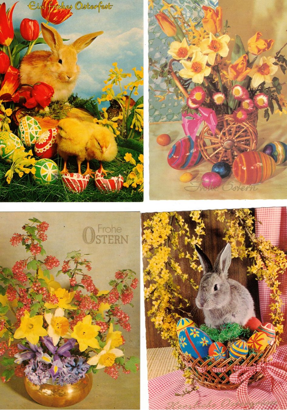 Cartoline postali: Ostern 8 AK Eier Ostereier – Usato da Widnau venduto da Seppl480 1