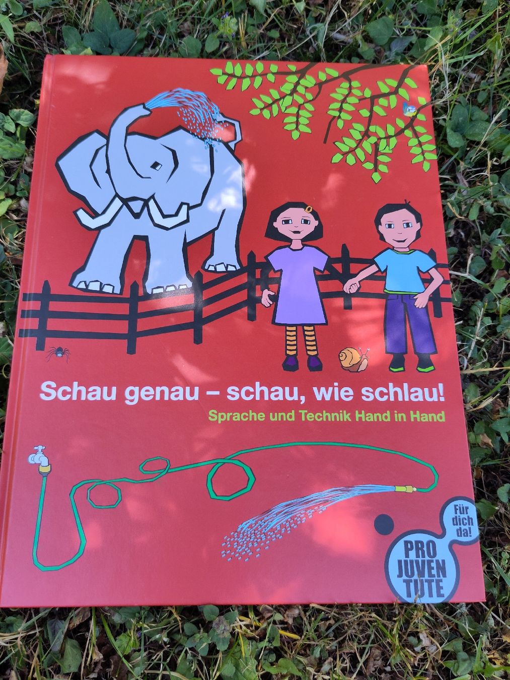 Libri: Kinderbuch von ProJuventute mit CD – Nuovo (secondo la descrizione) da Golino venduto da noko09