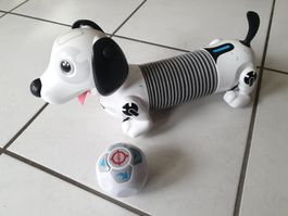 Roboter-Hund