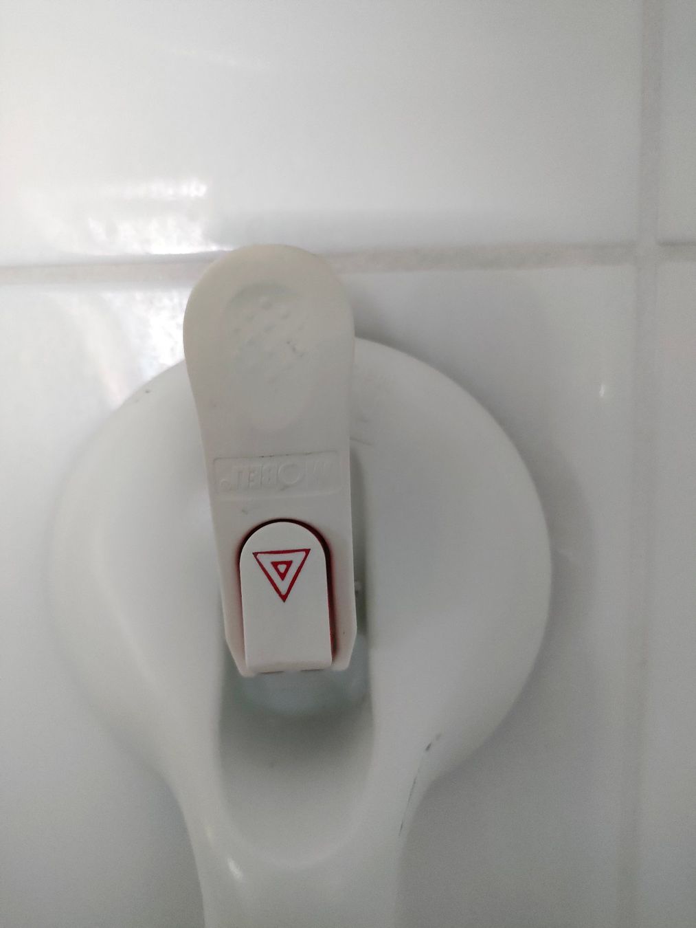 Wandhalterungen: Haltegriffe für Dusche oder Bad. – Gebraucht aus Kreuzlingen von Adi52 1
