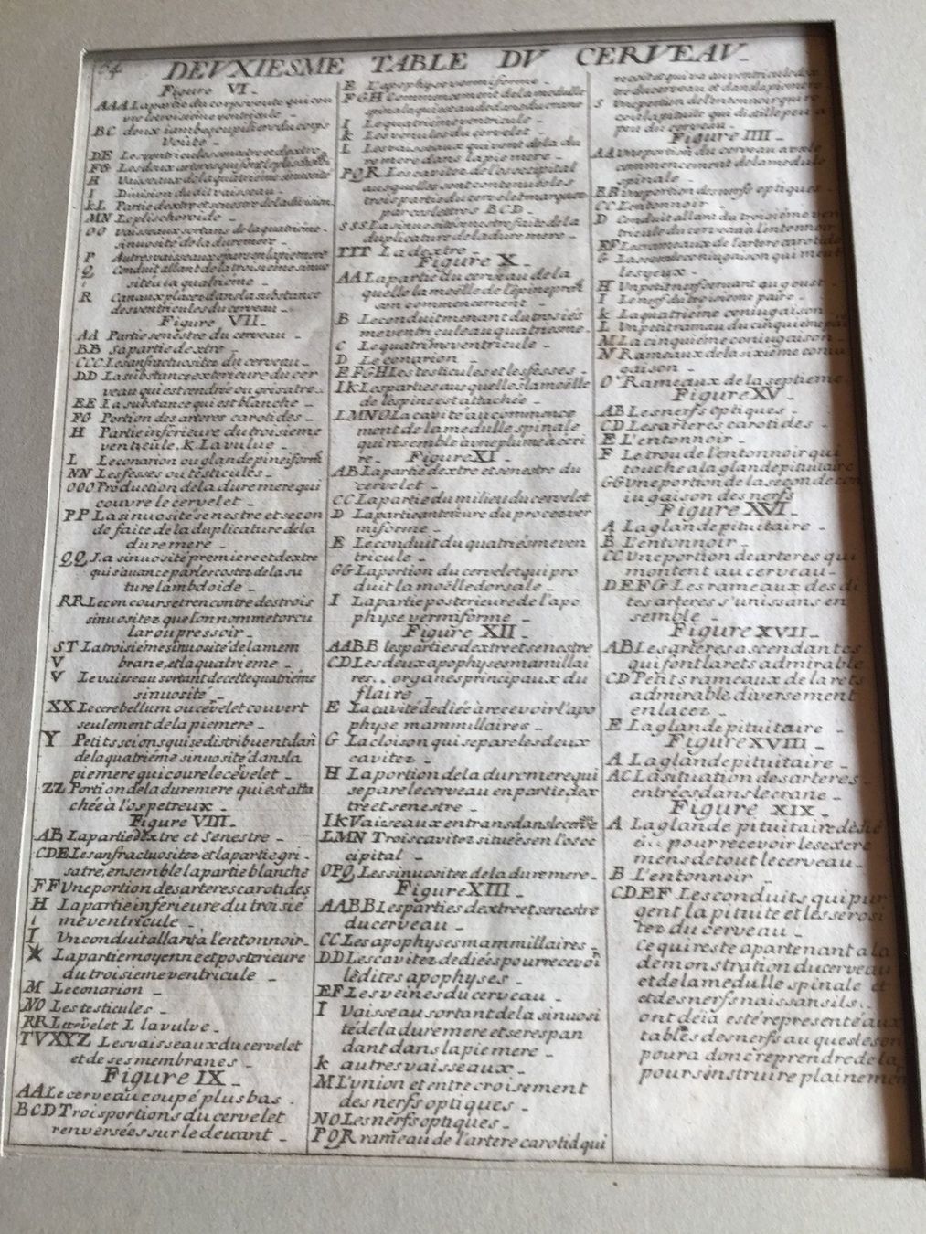 Stiche: Anatomie Selten ORIGINAL – Gebraucht aus Trachslau von post35 3
