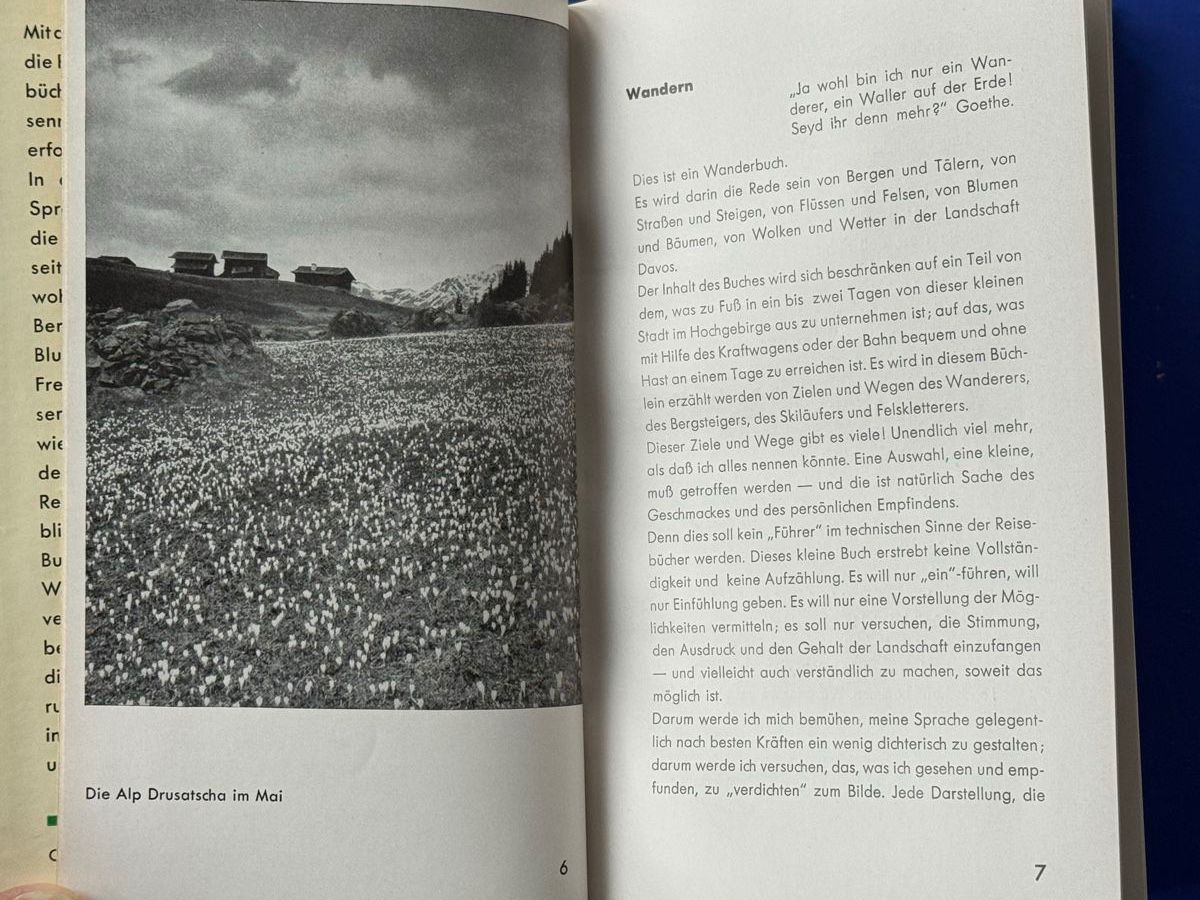 Libri: Hoek: Davos. Ein Berg- und Wanderbuch. 1934 – Usato da Adliswil venduto da buch_und_kunst 2