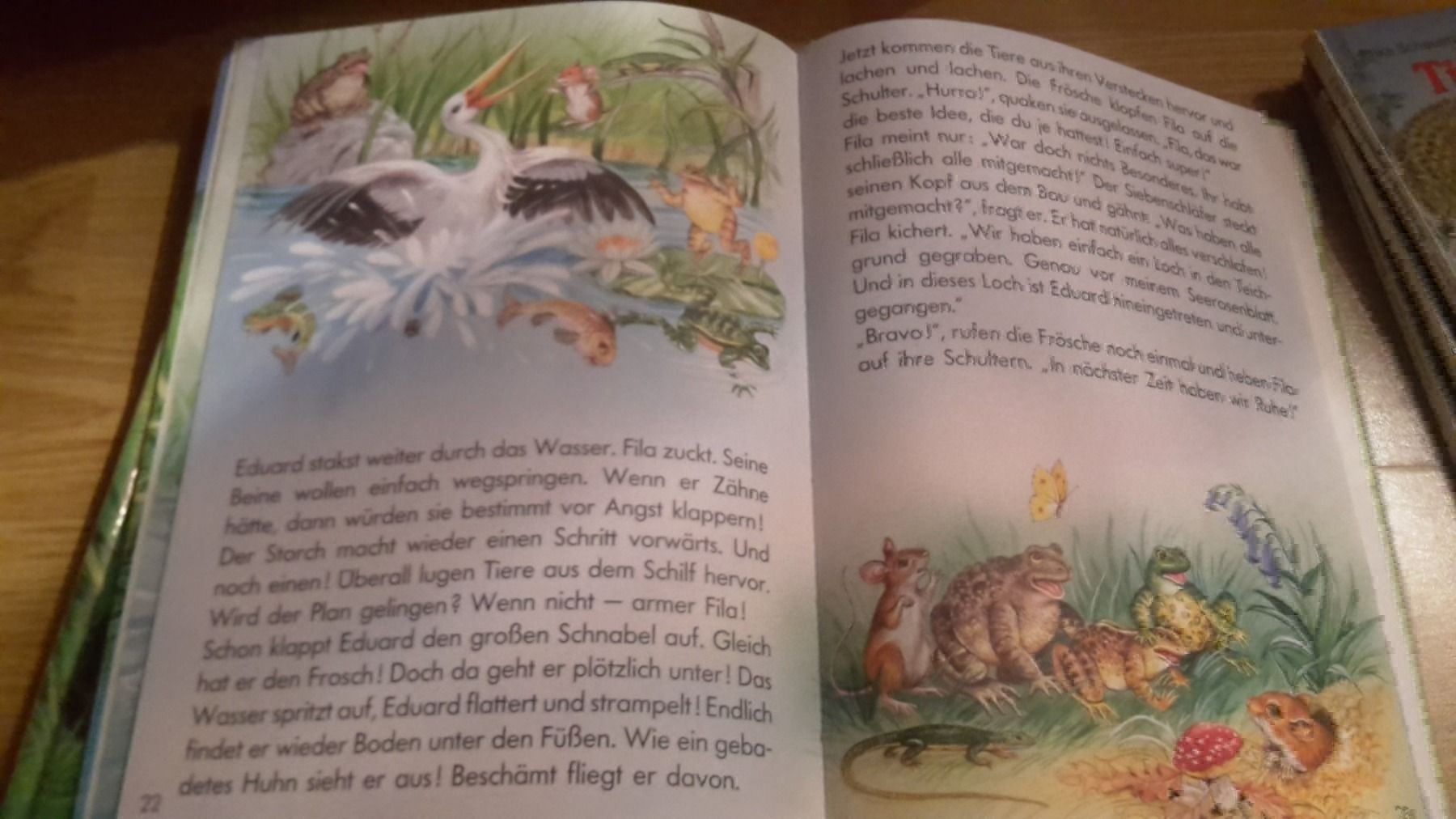 Libri: Buch die schönsten Tiergrschichten – Nuovo e nell'imballaggio originale da Schwarzenburg venduto da Flamingo07 2