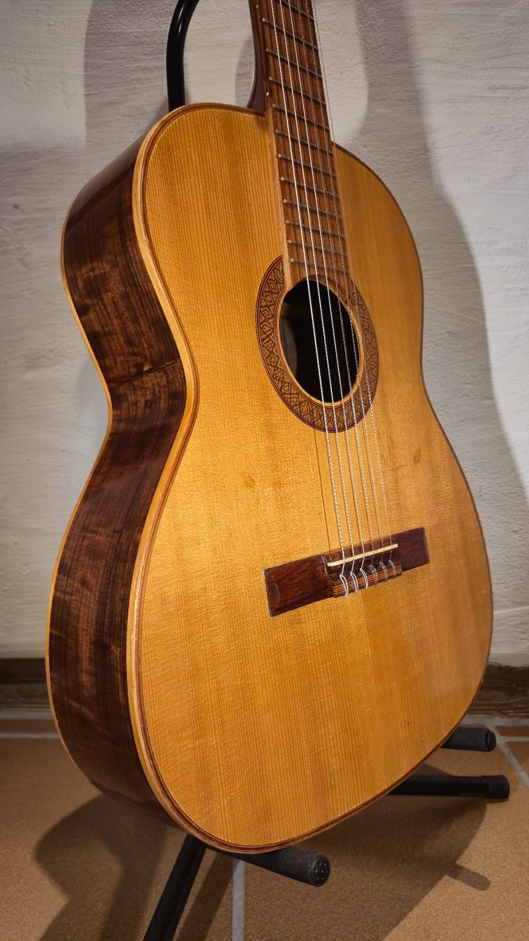 Giannini Strumenti musicali: Akustik Gitarre Giannini AWN 31 – Usato da Winterthur venduto da NorrSydGuitars 7