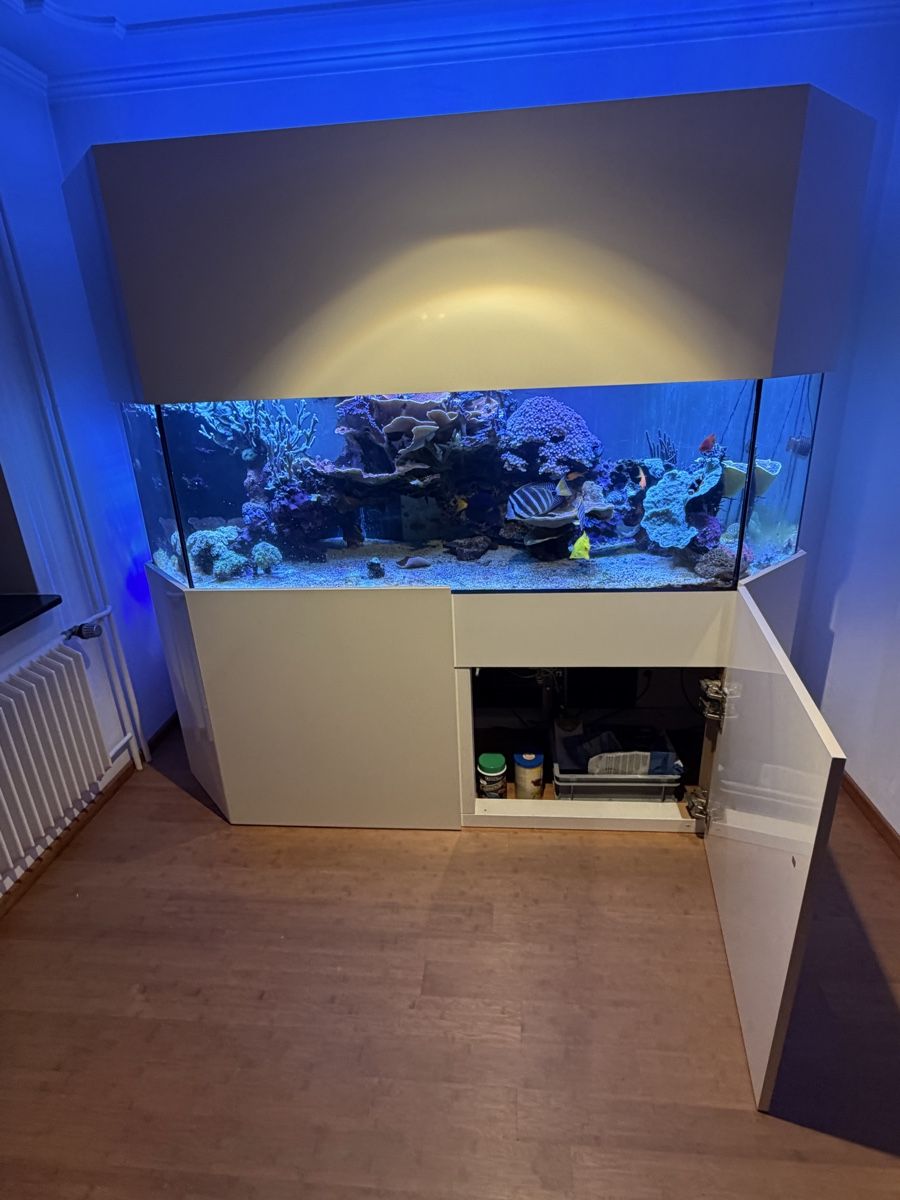 Aquarium: Aquarium/Terrarium – Gebraucht aus Jonschwil von ursula9 2