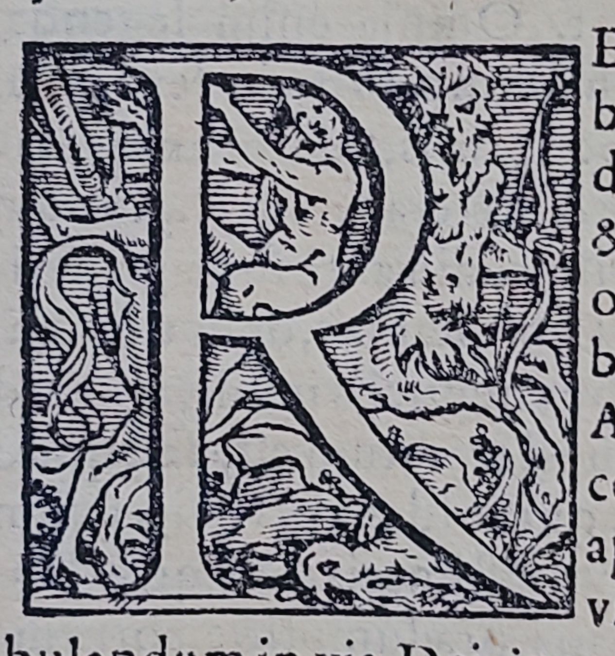Libri: De Divinis Catholicae, antikes Buch von 1568 – Usato da Muttenz venduto da Mithrur 3