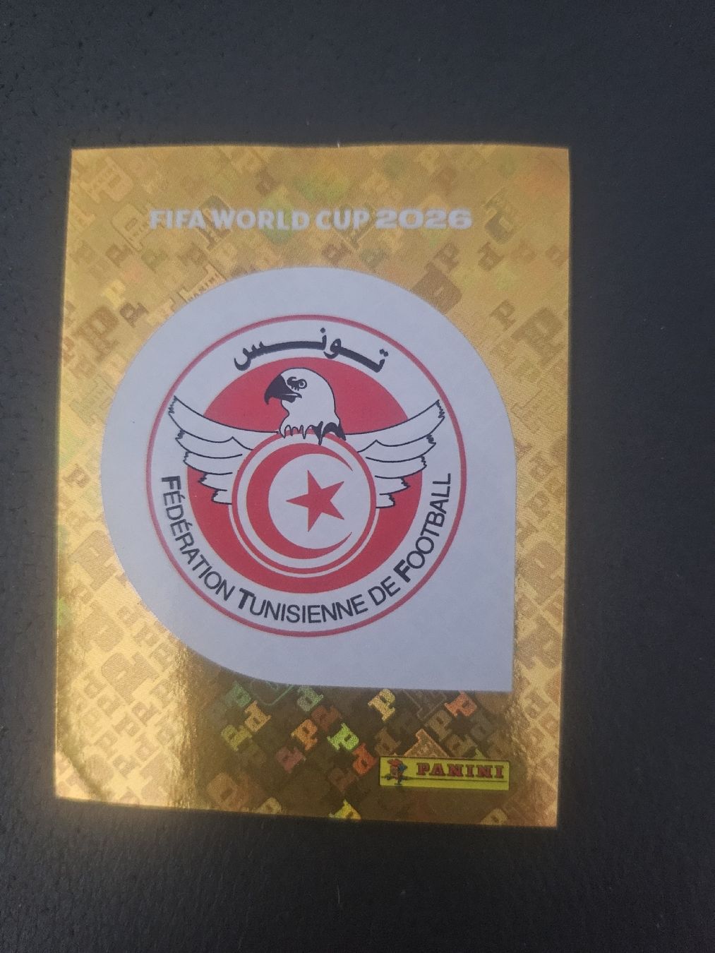 Panini Sammelbilder & Trading cards: panini TUN 1 – Neu (gemäss Beschreibung) aus Croy von sylvie1350