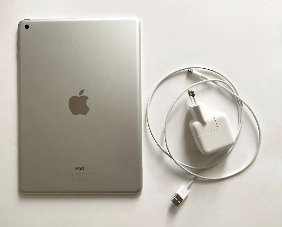 Tablet PC: I-Pad 6.Generation 32 GB – Usato da Dielsdorf venduto da cmo_c6hy