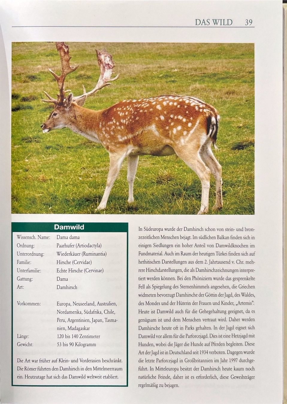 Bücher: Die Jagd – Neu (gemäss Beschreibung) aus Sarnen von Livres 7