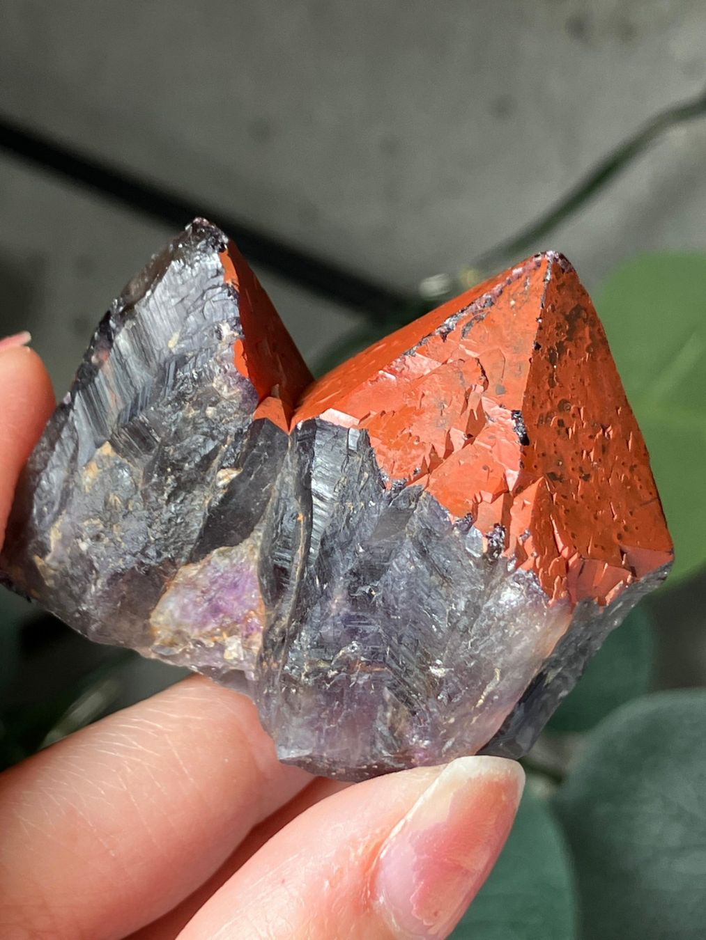 Edelsteine: Thunder Bay Amethyst – Neu (gemäss Beschreibung) aus Neuheim von m.hald 5