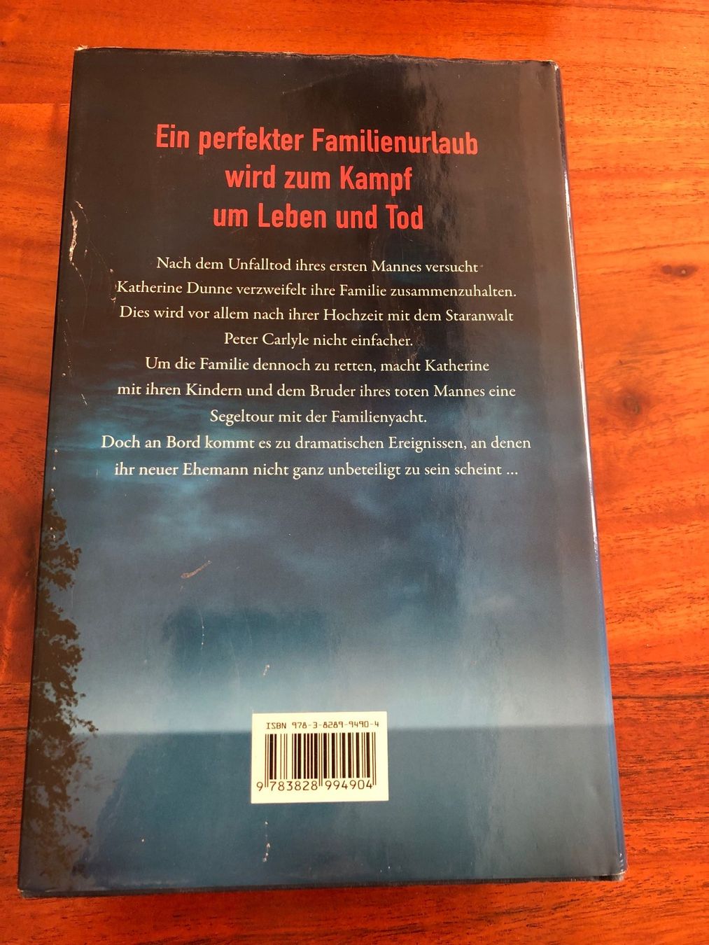 Libri: James Patterson - Höllentrip, Thriller – Usato da Schübelbach venduto da Dolly990_2 1