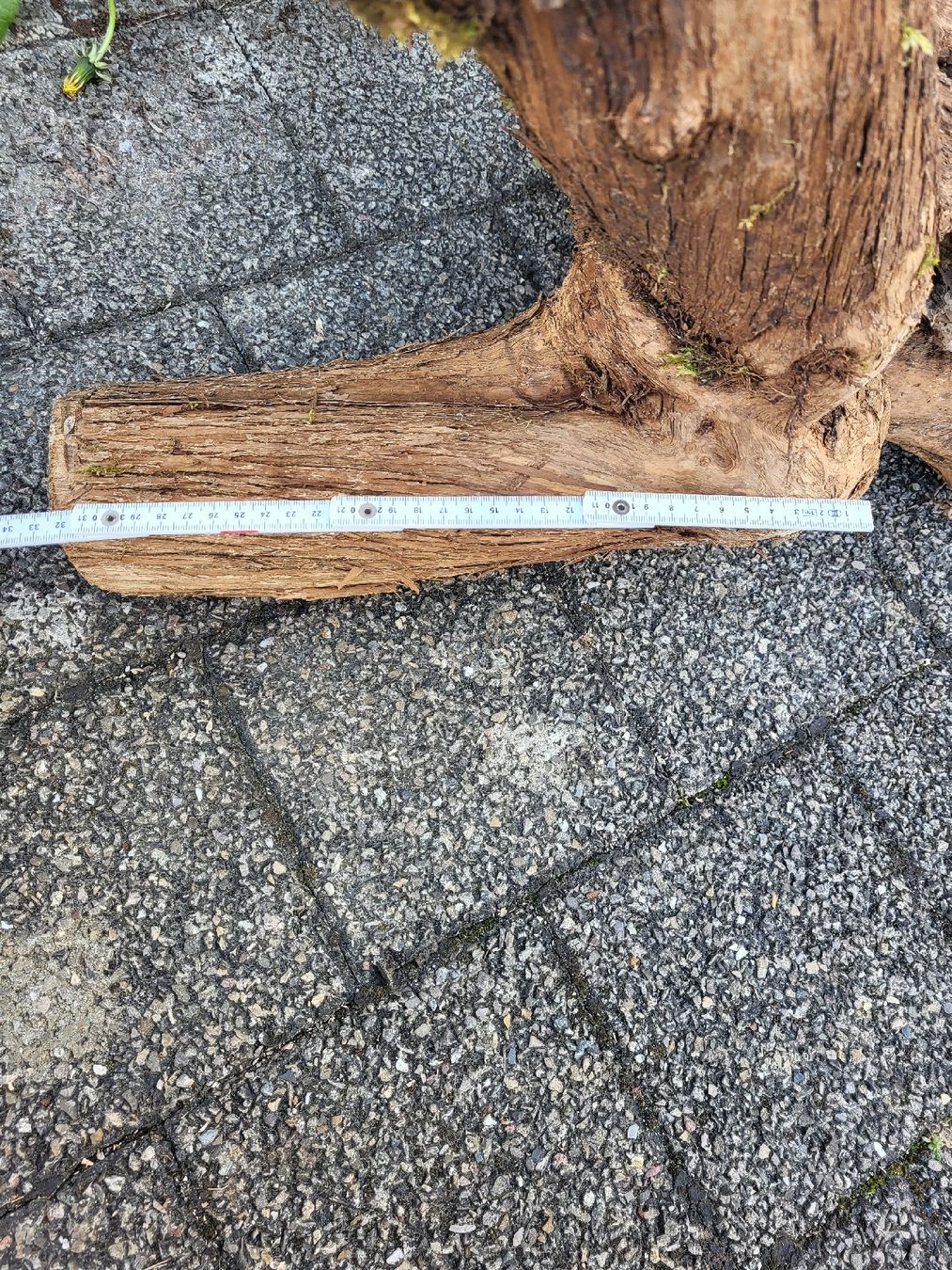 Articoli in legno: Drechselholz Flieder – Nuovo (secondo la descrizione) da Bubikon venduto da Munze1 4