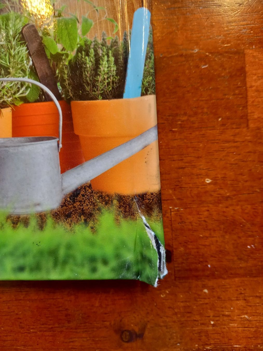 Libri: Abenteuer Garten. coop. Sachbuch mit Karten – Usato da Urtenen-Schönbühl venduto da nerdgirl 3