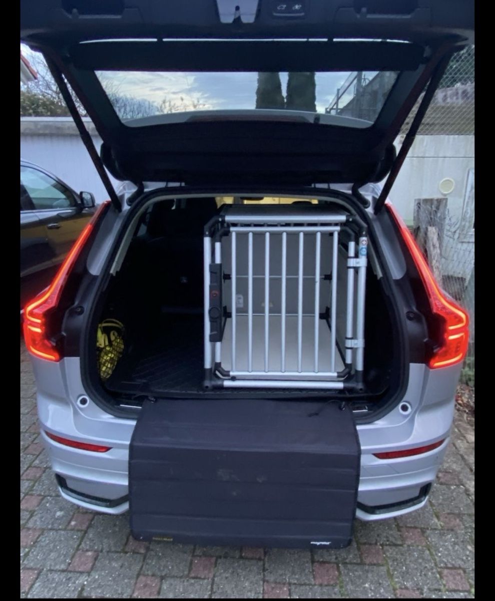 4pets Gabbie, trasporto & Sicurezza: Hunde-Transportbox – Usato da Reinach BL venduto da jul_6kg6 2