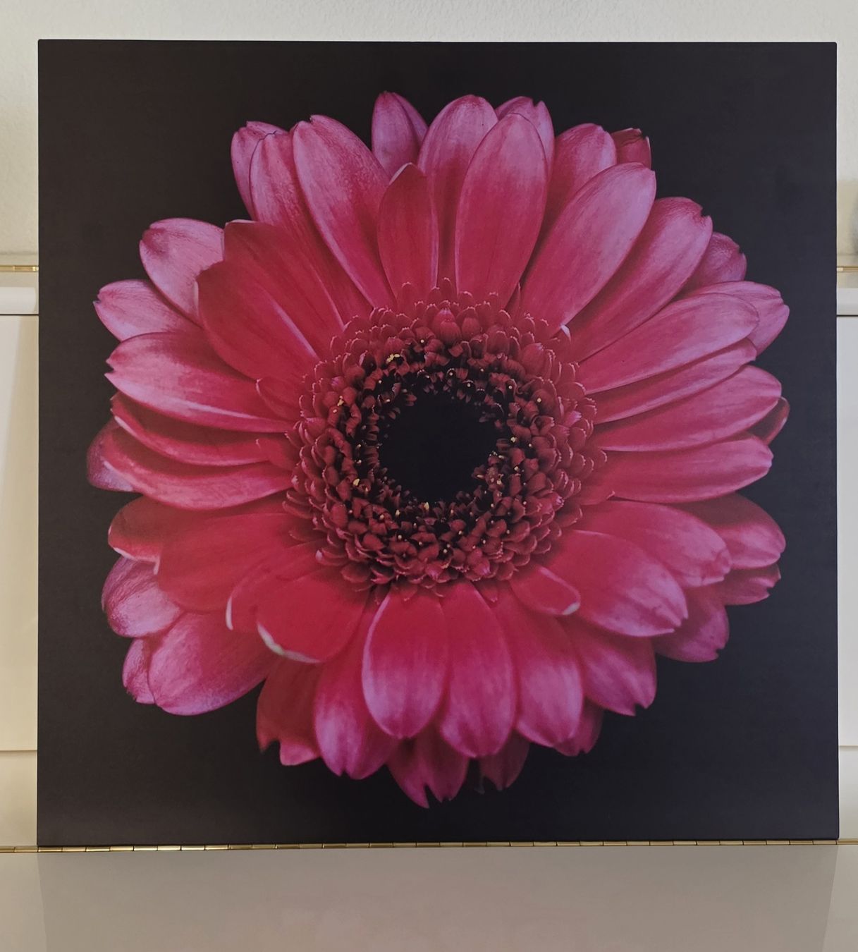 Foto & Immagini: Wandbild 60x60 cm  – Nuovo (secondo la descrizione) da Solothurn venduto da Solo11