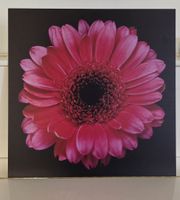 Wandbild 60x60 cm 