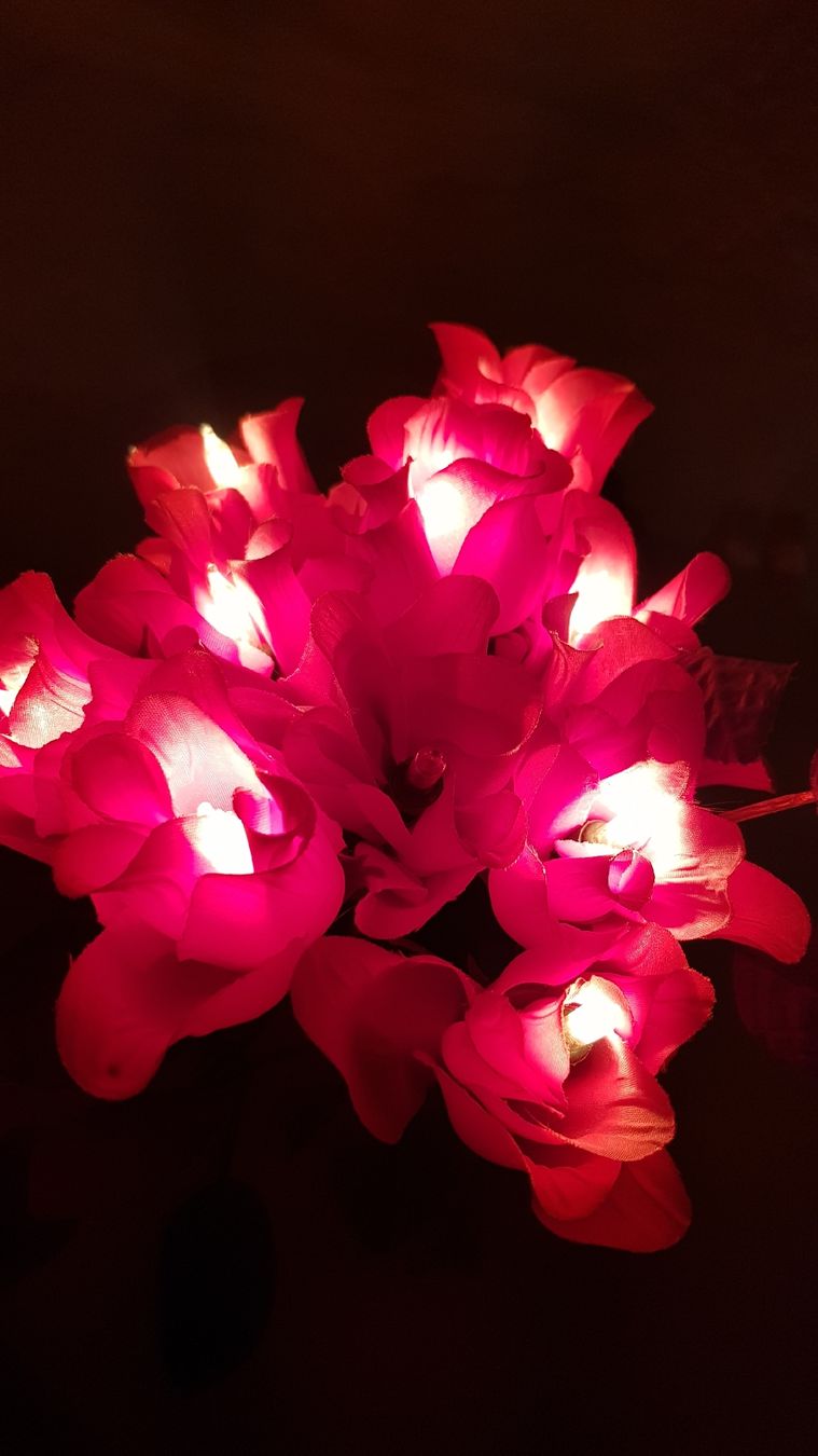 Ghirlande e barre luminose: Vase mit Lichterketten Blumen – Usato da Erlenbach ZH venduto da wem_6f9c 3