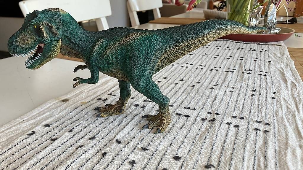 Statuette: Dino T-Rex Plastik – Usato da Allschwil venduto da ait_n87b